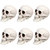Skeleton Skull Halloween Decorations - 3.5" - Pack of 6