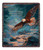 Blue and Brown American Majesty Eagle Inspirational Psalm Tapestry Throw Blanket 50" x 60" - IMAGE 1