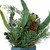 13" Green and Blue Square Potted Frosted Blueberry Artificial Christmas Arrangement - IMAGE 2