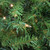 Pre-Lit Medium Northern Pine Artificial Christmas Tree -10' - Clear Lights - IMAGE 3