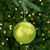 12ct Shiny Kiwi Green Shatterproof Christmas Ball Ornaments 4" (100mm) - IMAGE 1