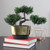 10" Potted Artificial Japanese Bonsai Tree - IMAGE 4