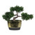 10" Potted Artificial Japanese Bonsai Tree - IMAGE 1