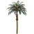 Set of 2 Artificial Phoenix Palm Trees 6' - IMAGE 1