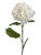 Pack of 12 Cream Colored Hydrangea Flower Artificial Floral Craft Sprays 23" - IMAGE 1