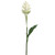 Ginger Artificial Floral Spray - 30.5" - Cream - Set of 24 - IMAGE 1