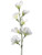 Club Pack of 24 Cream Colored Artificial Sweetpea Floral Sprays 22" - IMAGE 1