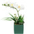 Artificial Orchid and Succulents Plant - 12" - White