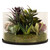 Mixed Succulent Artificial Arrangement in Round Glass Jar - 8" - IMAGE 5