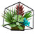 Artificial Succulent Arrangement with Metal Wire Frame - 7" - IMAGE 4