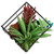 Artificial Succulent Arrangement with Metal Wire Frame - 7" - IMAGE 3