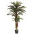 Artificial Potted Phoenix Palm Trees - 6' - Set of 2 - IMAGE 1