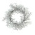 Clear Ice and Snowflakes on Black Twigs Artificial Christmas Wreath, 22-Inch - Unlit - IMAGE 1