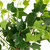 21" Green Artificial Ivy Hanging Floral Bush - IMAGE 4