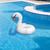 53.5" Inflatable White Swan Swimming Pool Ring Float - IMAGE 2