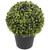 Potted Artificial Boxwood Ball Spring Plant - 12" - IMAGE 4