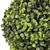 Potted Artificial Boxwood Ball Spring Plant - 12" - IMAGE 5