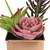 7" Artificial Potted Mixed Succulent Arrangement - IMAGE 2