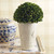 Artificial Boxwood Plant with Pot - 12.25" - Green and White - IMAGE 2