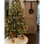 Buffalo Fir Artificial Small Christmas Wreath - 12" - Unlit - IMAGE 6