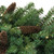 Pre-Lit Dakota Red Pine Artificial Christmas Wreath - 48" - LED Warm White Lights - IMAGE 2