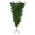 5.5' x 36" Green Upside Down Spruce Medium Artificial Christmas Tree - Unlit - IMAGE 1