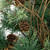 Pre-Lit Country Mixed Pine Artificial Christmas Wall or Door Tree - 2' - Clear Lights - IMAGE 3