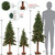 Set of 3 Pre-Lit Woodland Alpine Artificial Christmas Trees 5' - Clear Lights - IMAGE 3