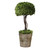 Preserved Boxwood Globe Tree Topiary in Terracotta Planter - 33" - IMAGE 1