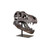 19.75" Prehistoric Tyrannosaurus Dinosaur Tabletop Decorative Skull on Black Base - IMAGE 1