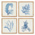 Set of 4 Blue and Brown Botanical Inspired Square Framed Wall Art Decors 24" - IMAGE 1
