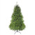 7.5' Pre-Lit Full Northern Pine Artificial Christmas Tree - Multicolor LED Lights - IMAGE 2