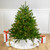 Pre-Lit Full Northern Pine Artificial Christmas Tree - 4' - Clear Lights - IMAGE 1