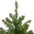 Pre-Lit Green Medium Northern Pine Artificial Christmas Tree - 10' - Clear Lights - IMAGE 3