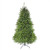 12' Pre-lit Full Northern Pine Artificial Christmas Tree, Multi-Color LED Lights - IMAGE 1