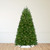 Pre-Lit Full Northern Pine Artificial Commercial Christmas Tree - 14' - Clear Lights - IMAGE 1