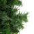 Canadian Pine Small Artificial Christmas Wreath - 12" - Unlit - IMAGE 3