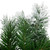 Northlight 36" Unlit Flocked Angel Pine with Pine Cones Artificial Christmas Wreath