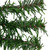 36" Green Canadian Pine Artificial Christmas Wreath - Unlit - IMAGE 2