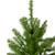 6.5' Northern Pine Full Artificial Christmas Tree, Unlit - IMAGE 3