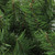 7' Green Canadian Pine Artificial Christmas Swag - Unlit - IMAGE 2