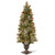 5" Pre-Lit Potted Wintry Pine Artificial Christmas Tree, Clear Lights - IMAGE 1