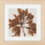 24” x 24” Framed Caramel Brown Brilliant Seaweed Wall Art Decor - IMAGE 1