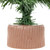 12" Mini Pine Full Artificial Christmas Tree, Unlit - IMAGE 4