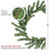 Mini Pine Artificial Christmas Wreath - 10" - Unlit - IMAGE 4