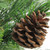 Mixed Cashmere Berry Pine Medium Artificial Christmas Tree - 24" - Unlit - IMAGE 4