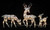 Lighted Glittered Deer Family Outdoor Christmas Decoration - 30" - White - Set of 3 - IMAGE 2