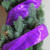 Shimmering Purple Tree Wired Christmas Craft Ribbon 2.5" x 10 Yards - IMAGE 3