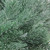 Real Touch™️ Frosted Pine Artificial Christmas Wreath - 16" - Unlit - IMAGE 3