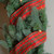 Red and Green Plaid Wired Christmas Craft Ribbon 2.5" x 10 Yards - IMAGE 3